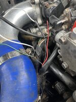 IMG_5777.jpeg