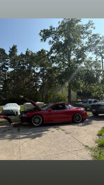 IMG_4377.jpeg