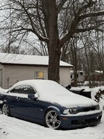IMG_4372.jpeg