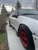 IMG_4575.jpeg