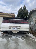 IMG_4570.jpeg
