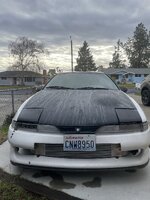 IMG_4573.jpeg