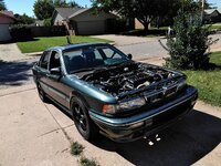 IMG_20171007_134116.jpg