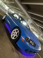 IMG_6741.jpeg
