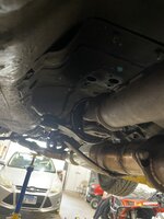 IMG_5229.JPEG