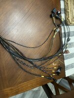 IMG_8187.jpeg