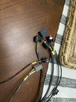 IMG_8185.jpeg