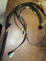 IMG_8182.jpeg