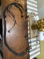 IMG_8181.jpeg