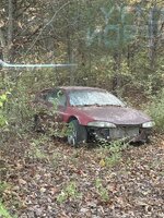 IMG_5842.jpeg