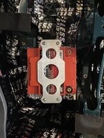 IMG_5332.jpg