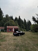 IMG_2969.jpeg