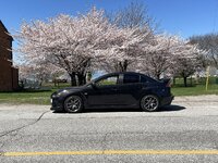 IMG_2982.jpeg