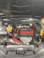 IMG_6555.jpeg