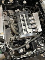 IMG_2849.jpeg