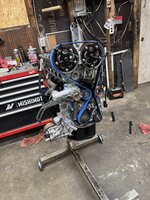 IMG_1446.jpeg