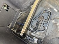 IMG_2732.jpeg