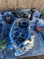 IMG_5493.jpeg