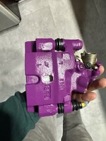 IMG_0526.jpeg