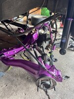 IMG_0520.jpeg