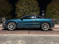 IMG_4338.JPG