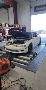 IMG_8646.JPG