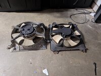 PXL_20260414_053331417.jpg