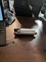 PXL_20260414_052345627.jpg