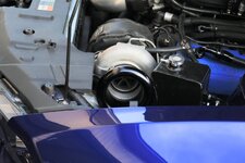 0R5A4767.JPG