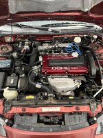 IMG_0296.jpeg