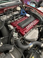 IMG_0297.jpeg