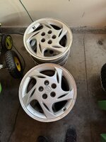 IMG_6265.jpeg