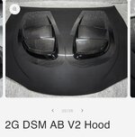 Stolen carbonetics hood