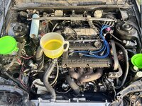 IMG_2856.jpeg