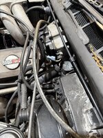 IMG_6035.jpeg