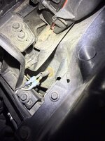 IMG_6037.jpeg