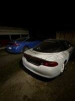 IMG_8369.jpeg