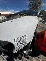IMG_8284.jpeg