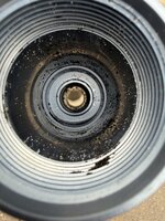 IMG_8483.jpeg
