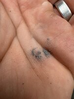 IMG_8484.jpeg