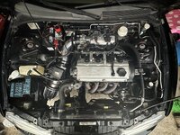 IMG_1215.jpeg