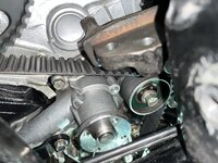 IMG_9774.jpeg