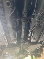 IMG_1552.jpeg
