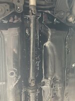 IMG_1551.jpeg