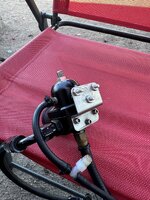 IMG_6736.jpeg