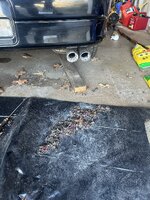 IMG_7138.jpeg
