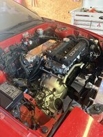 IMG_0104.jpeg