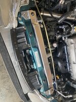 IMG_5536.jpg
