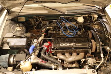 9U0A3190.JPG