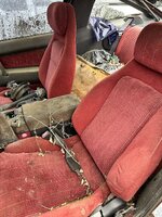 IMG_5589.jpeg